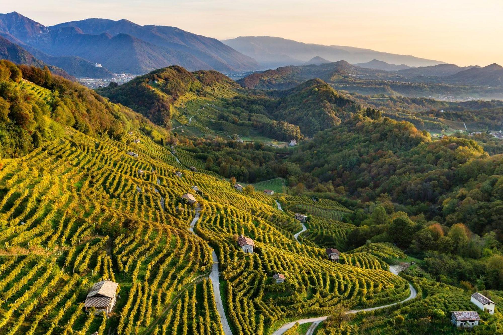 B&B La Valle Verde ミアーネ エクステリア 写真